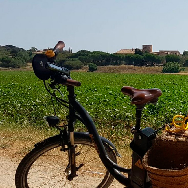 Burricleta, la bicicleta rural elèctrica